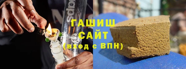 хмурый Аркадак
