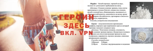 хмурый Аркадак