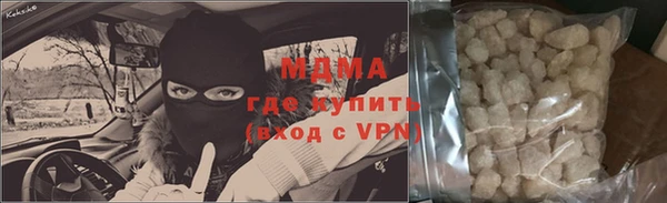 хмурый Аркадак