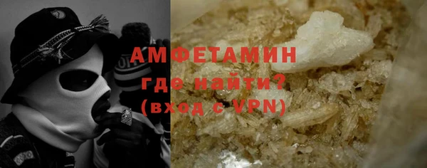 хмурый Аркадак