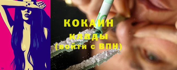 крисы Балахна