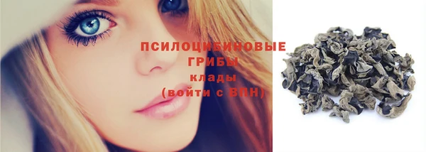 крисы Армянск