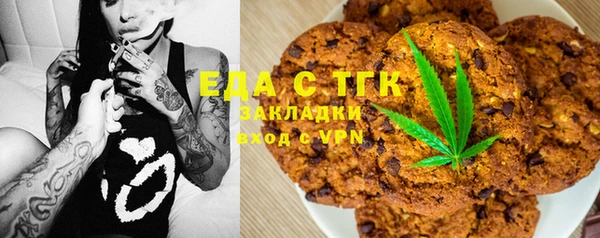 хмурый Аркадак