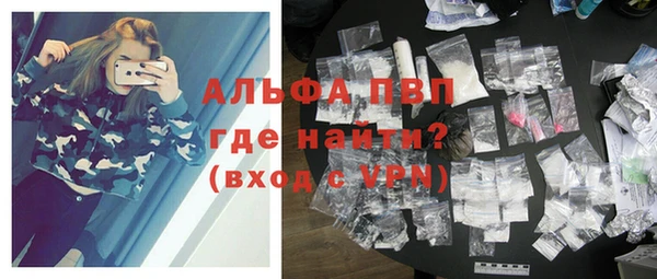 хмурый Аркадак