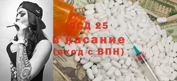 хмурый Аркадак